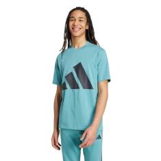 Camiseta Adidas Essentials Big Logo Masculina-Masculino