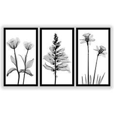 Kit 3 Quadros Decorativos Grandes com MOLDURA Flores Minimalista Preto e Branco