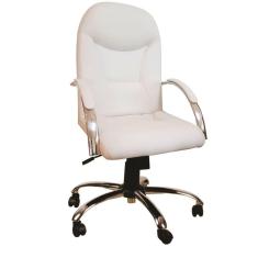 Cadeira Giratória Escritório Day Presidente Branco