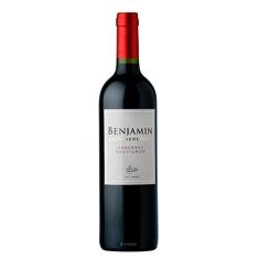 Vinho Argentino BENJAMIN NIETO Cabernet 750ml