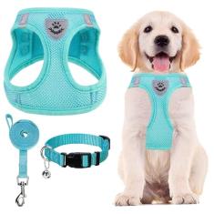 PUPTECK Conjunto de coleira e coleira ajustável para cães pequenos filhotes e gatos treinamento ao ar livre e corrida, colete refletivo acolchoado de malha macia