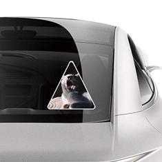 DIYthinker Adesivo de carro de tiro com foto de gato de guincho, decalque de bagagem de motocicleta