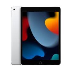 Apple iPad 10.2 9ª Geração, A13 Bionic, Wi-Fi, 256GB, Prateado - MK2P3BZ/A