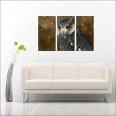 Quadro Decorativo Animais Coruja Ave Salas 3 peças Com Moldura - Vital