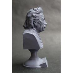 Escultura Estatua Busto Albert Einstein