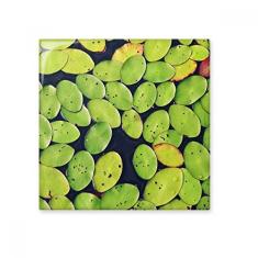 Adesivo brilhante de azulejo de cerâmica com folhas frescas para plantas e água