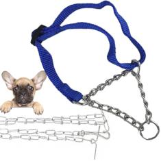 Coleira Cao Cachorro Dog Guia Corrente Semi Enforcadora Ajsutavel Aço Zincado Animais Pet Kit Passeio