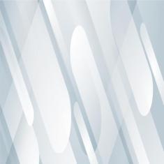 Pistao Pino/Trava Kmp Cb 600 Hornet 2008/0.50