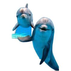 Kit 3 Quebra-Cabeças Cognitivos Golfinhos Idosos 40 Peças - Reidopendr