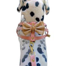 Peitoral Coleira E Guia Charminho Tamanho 2 -Cães Linha Luxo