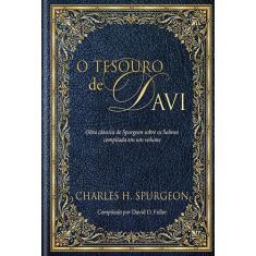 Livro - O tesouro de Davi