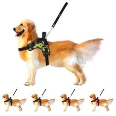 Coleira Peitoral Para Cães Cachorros Grandes Ajustável Com Guia Alça R