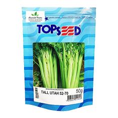 Sementes de Salsão Tall Utah 52-70 Pcte C/ 50 Gramas