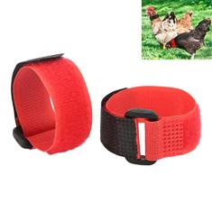 Coleira de Galo para Parar de Cantar, Coleira de Galo Anti-Corvo Cinto de Pescoço de Frango 2 Pacotes Sem Ruído de Corvo Cinto de Pescoço Galo Coleira de Corvo para Galos Galo