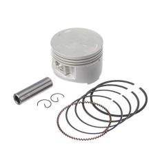 Pistao Kit C/Anel Rik Premium Xt 225 0.25