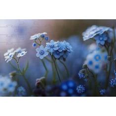 Kit 2 Quebra-cabeças Atividades para Mente As Flores 24 peças - Coleçã