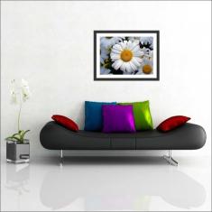 Quadro Decorativo Flores Branca Salas Decorações Com Moldura - Vital Q