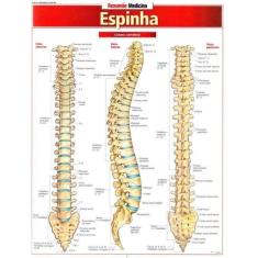 Resumao Medicina - Espinha