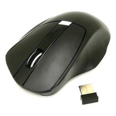Mouse Óptico Profissional Usb Sem Fio 2,4ghz 1600dpi Entrega - oem, Pr