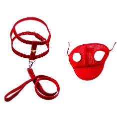 Coleira Peitoral Vermelho Aplique E Boné Cachorros - N05