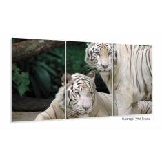 Quadro Decorativo Natureza Tigres Selvagens 3 peças 120x66 M