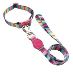 Coleira Com Guia Para Cachorro Ajustável com Trava de Segurança Rosque