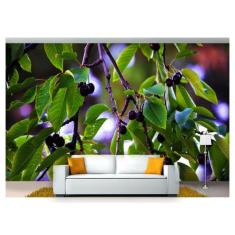 Papel De Parede Flores Floral Flor Natural 3D Nfl151 - Você Decora