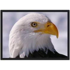 Quadro Decorativo Águia Ave Animais Decoração Com Moldura - Vital Quad
