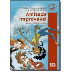 Amizade Improvável - Uma Aventura Urbana