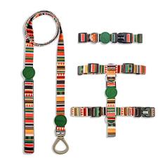 Kit Guia + Coleira + Peitoral | SAFARI