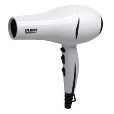 Secador De Cabelos G.M.A Professional 2000W C/ 2 Velocidades 220V