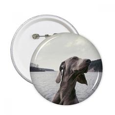 Cão animal de estimação imagem cinza pinos redondos emblema emblema acessório decoração 5 peças