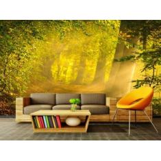 Papel de Parede Paisagens Floresta 111 - 1,00 X 1,00 - Voce Decorando