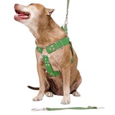 Peitoral Cachorro com Guia e Adaptador serve Pit Bull Labrador - dedca