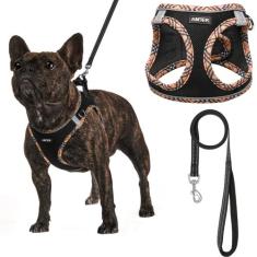 Conjunto de arnês para cães AMTOR Small com coleira para treinar e cam
