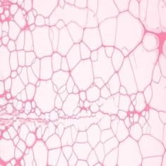 ANEL PISTAO RENAULT 1.6 8/16v. (79,50) - ASRE16/STD