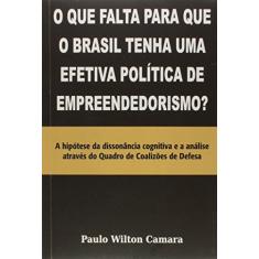 O que Falta Para que o Brasil Tenha Uma Efetiva Politica de Empreendedorismo?