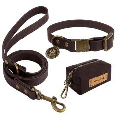 Wisedog Conjunto de coleira e trela para cães, coleiras ajustáveis à prova d'água com etiqueta fofa, coleira de cachorro de 1,8 m com bolsa para cocô para cães pequenos, médios e grandes (gola: 25,4 a