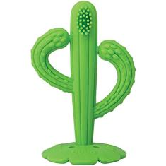 Massageador de Gengiva Bebê Cacto Buba