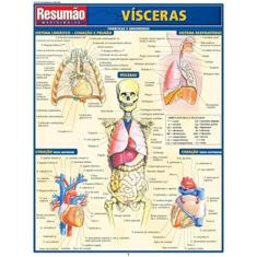 Livro - Resumao - Visceras - 2ª Ed., 2, 21.6 x 28.1