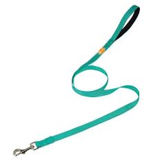 ANJISUNY Coleira refletiva de 1,2 m para cachorros, de nylon durável, com fios refletivos e acolchoada confortável para passear, guia ótima para cães pequenos e médios