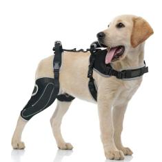 Peitoral para cães com alça – Peitoral de suporte emocional para cães de serviço, sem puxão, design ajustável para conforto e controle, GG