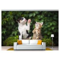 Papel De Parede Animais Cão Gato Sentados 3D Anm235 - Você Decora