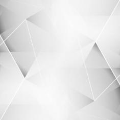 Anel P/Pistao Kmp Biz 125 2.00