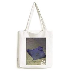Bolsa de lona com imagem de natureza de skate Ocean Ray Bolsa de compras casual