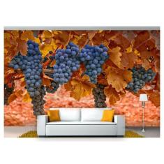 Papel De Parede Fruta Cacho De Uva Parreira 3D Al70 - Você Decora