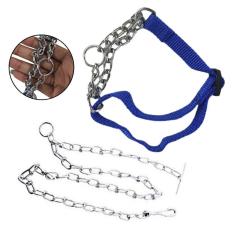 Coleira Guia Ajustavel Aço Semi Enforcadora Corrente Caes