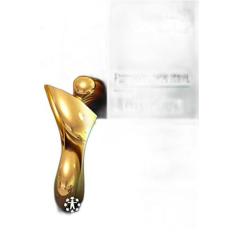 Livro Responsabilidade Social Empresa - Pinto, Figueiredo - QUALITYMAR