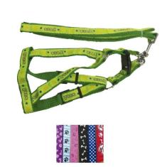 Coleira C/Guia Para Cães Até 15kg Variadas - Sap