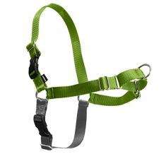 PetSafe Peitoral para Cães Easy Walk - Ajuda a Parar de Puxar - Médio (28-46 cm de Circunferência do Peito) - Verde-Maçã